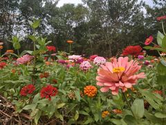 -盘龙城国家考古遗址公园