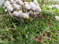 -盐帮食坊•小河帮川菜(四川师大店)