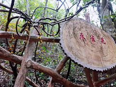 -牛鱼嘴原始生态风景区