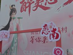 -南汇桃花村