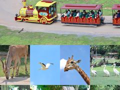 -广州长隆野生动物世界