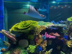 -成都浩海立方海洋公园