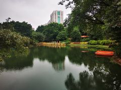 -晓港公园