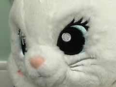 -巧姑传