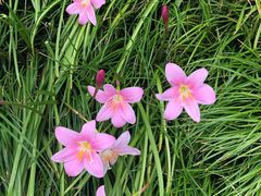 -辛亥革命博物院北区