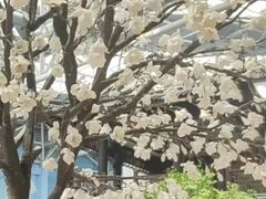 -无锡融创水世界