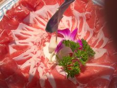 -阳坊涮肉(西直门凯德mall店)
