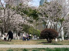 -西北湖绿化广场