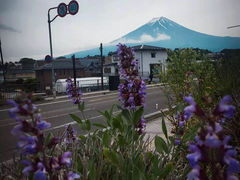 -富士山吉田線五合目