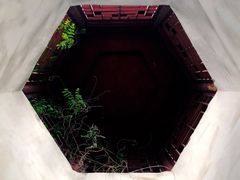 -杭州少年儿童公园