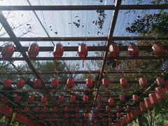 -四会奇石河风景区