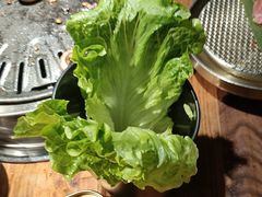 -九田家黑牛烤肉料理(新辰里亚运村店)