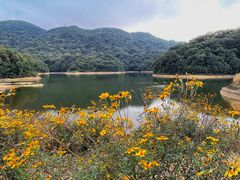 -广州市石门国家森林公园