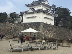 -名古屋城