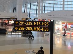 -郑州新郑国际机场-T2航站楼