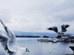 -滇池海埂公园
