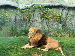 -北京野生动物园