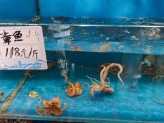 -丹盛象山海鲜(水清路店)