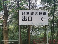 -羚羊峡古栈道森林公园