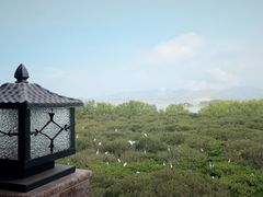 -盐洲岛