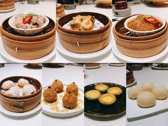 黑松露芋香饼-皇朝会.经典传统粤菜(外滩店)
