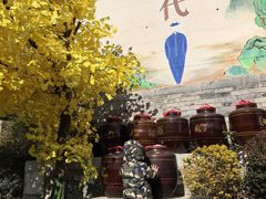 -白鹿原影视城