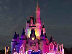 -奥兰多迪士尼动物王国乐园