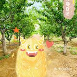 当六一儿童节遇上大丰收，双重快乐念念不忘
