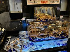 -蟹道乐(道顿堀本店)