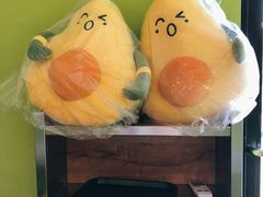 -油梨树AVOCADO TREE(顺义新国展店)