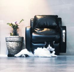 -塞巴斯汀SEBASTIAN专业美发店