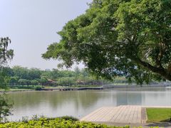 -顺峰山公园