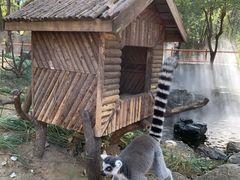 -北京野生动物园