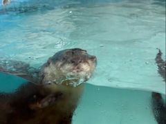 -祥源·阜阳生态乐园