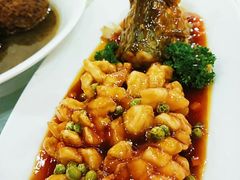 -红高粱大酒店(宁山东路店)