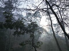 -黔灵山公园