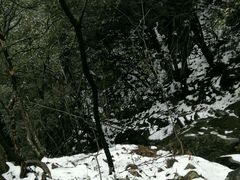 android_upload_pic-安吉龙王山风景区