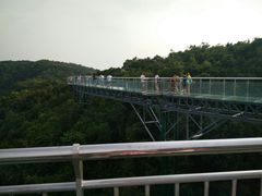 -呀诺达热带雨林