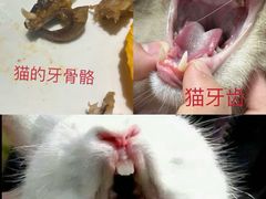 -唐猛猛湘乐汇(银泰城店)
