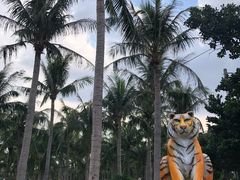 -白沙湾海滩