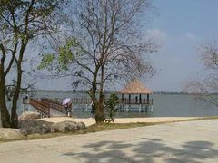 android_upload_pic-瑶湖郊野森林公园