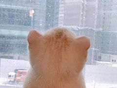 -文昌邓记清补凉(西沙路店)