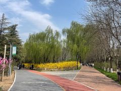 -大兴滨河森林公园