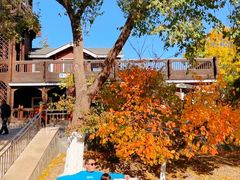 -永定河休闲森林公园