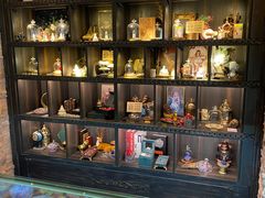 -雪灵魔法世界SHELLY’S TAROT(大良桂畔里店)