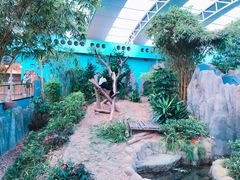-河川生态园