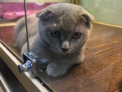 -乐宠宠物店(世纪金源店)