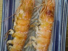 -真剑日本料理·铁板烧(贵州路店)