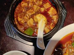 -陈麻婆豆腐总店
