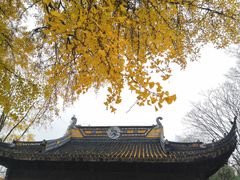 -苏州上方山国家森林公园